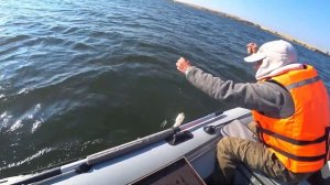 Судак на поставушки! Ириклинское водохранилище!