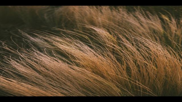 Relax-Home 1 смотреть онлайн