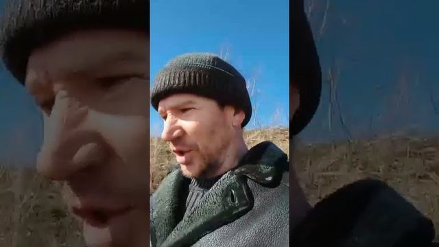 Мастерство в Дизайне