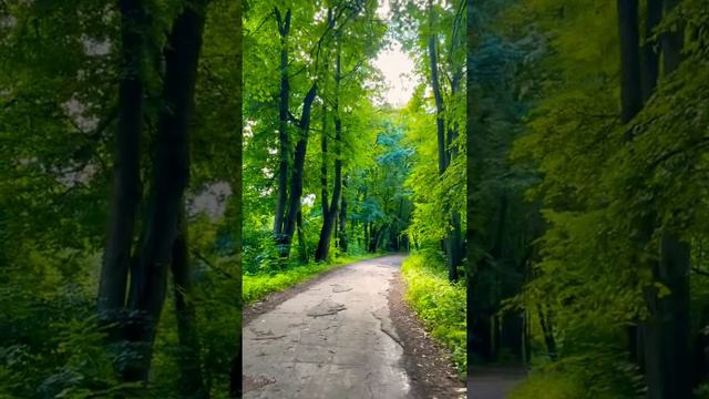 Бог есть все , что ты видишь и не можешь увидеть , можешь почувствовать смотреть онлайн