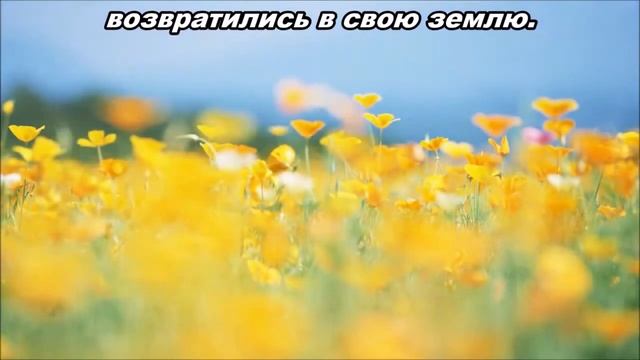 06.06.2015 Отчаянная жажда (4-я Царств 3:13–27) смотреть онлайн