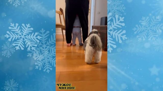 Дмитрий Шепелев показал как его 10 месячный сын Тихон решил пересадить цветок