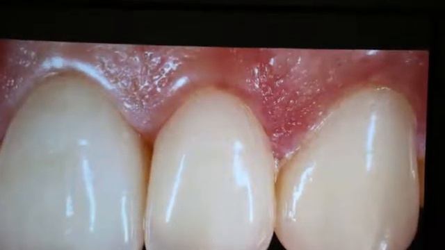 Курс Назария Михайлюка смотреть онлайн