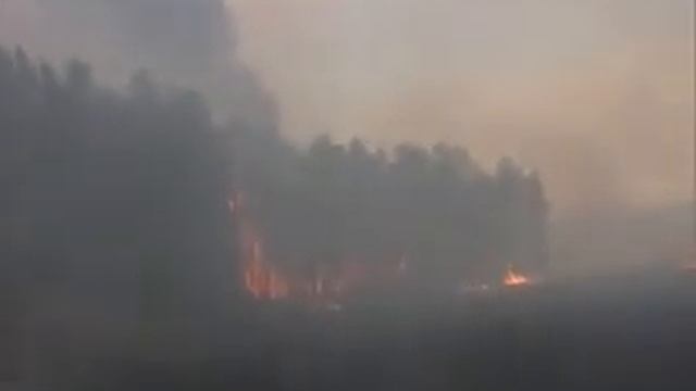 Пожары в лесу. Правила безопасности 4 смотреть онлайн