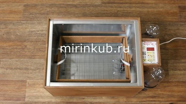 Обзор инкубатора Блиц 48 цифровой