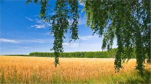 Ян Френкель. Русское поле