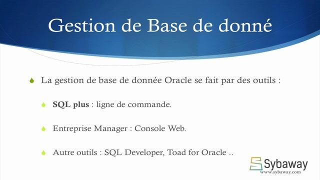 Tutoriel Oracle DBA1 (63) : Type de connexions à une Base de donnée Oracle. смотреть онлайн