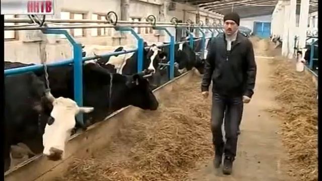 Валерий Шанцев в Богородском и Гагинском районах смотреть онлайн