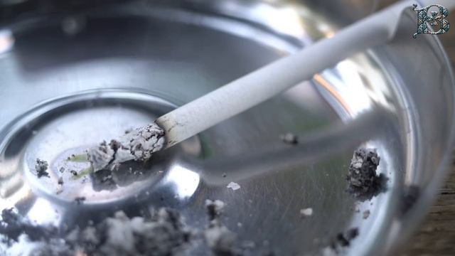 Обидчивость: причины и последствия | ПРОСТЫЕ ИСТИНЫ смотреть онлайн