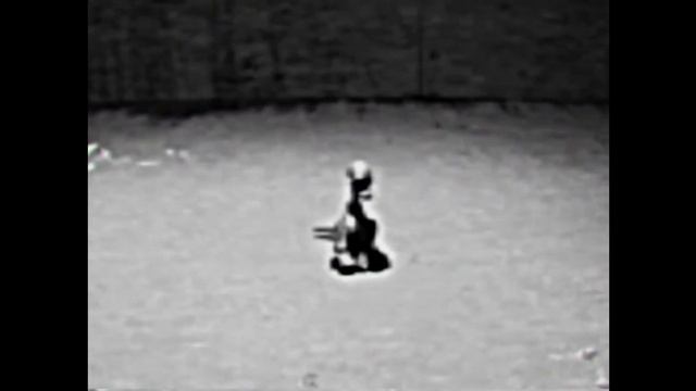 Компания Poppy playtime сделала новое видео. Очень много пасхалок. смотреть онлайн