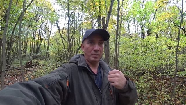 Нашли телефоны, часы - что тут происходило? Странный лес, Монеты на каждом шагу! От Скифов до СССР смотреть онлайн