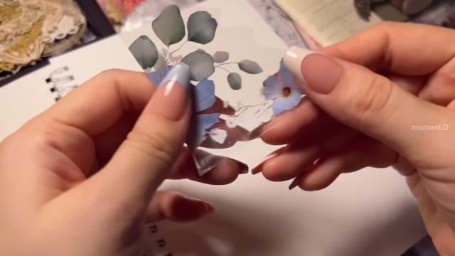 [sub] 여기에 다 있어요! 키키네문구점 하울하고 다이어리 꾸미기 #scrapbooking 광고 | 문구하울 | Stationery haul | 다꾸 ASMR смотреть онлайн