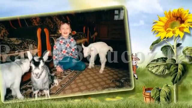 слайд шоу поздравление на юбилей 85 лет с 3d эффектами из фотографий смотреть онлайн