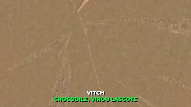 Melhor Som de One Piece - Luffy (One Piece) | Vitch Feat. @Geedix (Prod: @LairtonTeclas) смотреть онлайн