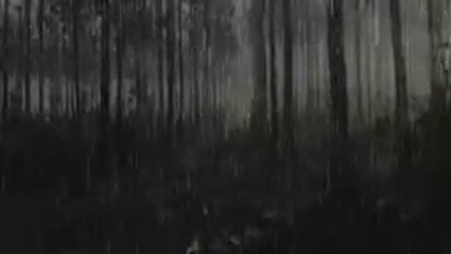 Осознанный сон сегодня вечером под эту музыку | SUARA RINTIK HUJAN UNTUK TIDUR | RELAXING SOUND RAI смотреть онлайн