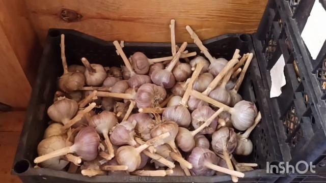 Живем в деревне ?