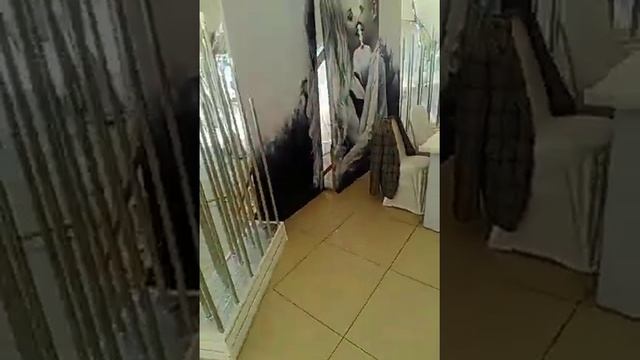 Подборка оформление свадьбы. Стол жениха и невесты смотреть онлайн