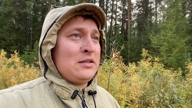 РЫБАЛКА И ОХОТА В СИБИРСКОЙ ТАЙГЕ В ПОИСКАХ ТРОФЕЙНОГО ХАРИУСА смотреть онлайн