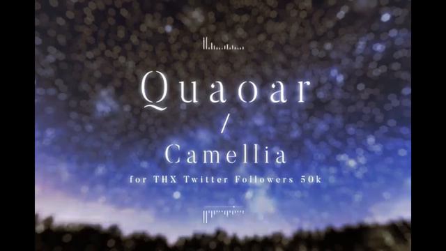 Ranking My Top 10 Favorite Camellia Drops смотреть онлайн