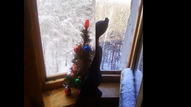 В и н т а ж н ы й ---- А л ь б о м смотреть онлайн