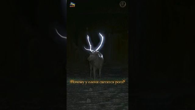 Почему у оленя светятся рога? #shorts смотреть онлайн
