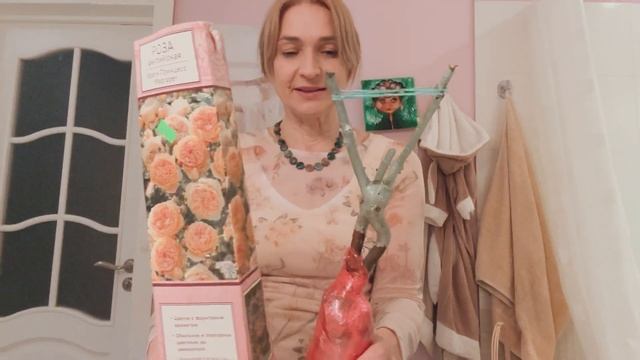 19 марта 2023 г. Распаковка РОЗ, Английские: Краун Принцесс Маргарет, Роальд Даль, Квин ов Свиден смотреть онлайн