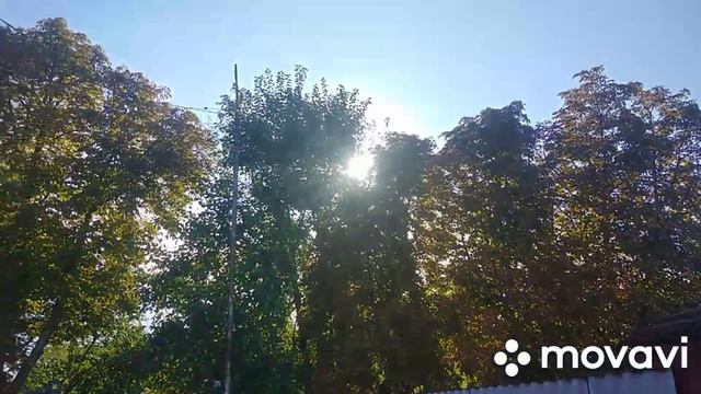 Санэпидстанция нагрянула внезапно