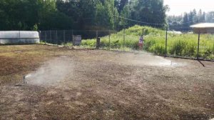 Газон на глине песке и 4см грунта  полив система полива