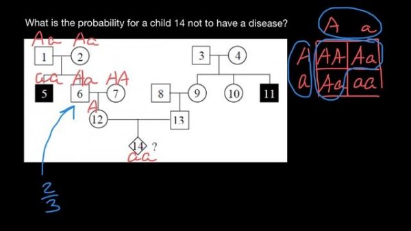 How to solve probability problems in Genetics