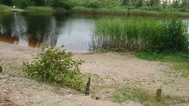 УДИВИТЕЛЬНАЯ ПРИРОДА ЭСТОНИИ!КУДА ПОЕХАТЬ НА ШАШЛЫЧКИ??? смотреть онлайн