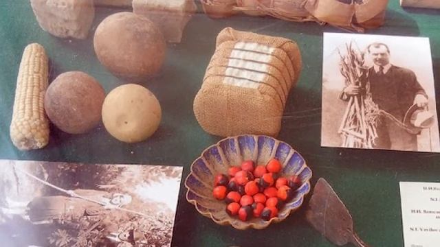 Экскурсия в ВИР смотреть онлайн