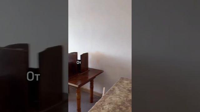 Как навсегда избавиться от тараканов в квартире? смотреть онлайн