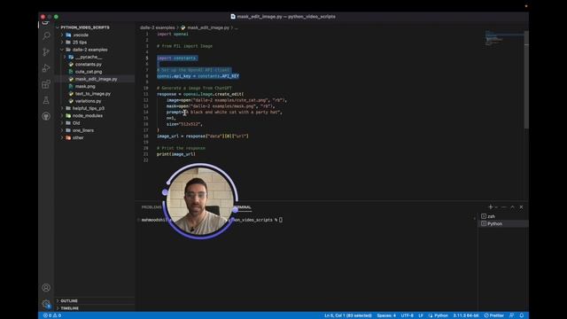 How to Edit Images with OpenAI Python DALLE (Quick) смотреть онлайн