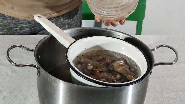 Собираем грибы и готовим картошку с грибами смотреть онлайн