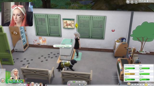 Новые хвостики в семье #7 / The sims 4 - История Палумны Лав смотреть онлайн