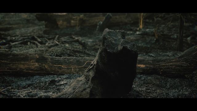 Unreal Engine 5.2 Burnt Forest | 3D Environment Design смотреть онлайн