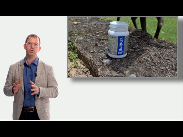 FORISE GROUP. Грациформ - нормализация обмена веществ на клеточном уровне. Врач Рудин П.В. смотреть онлайн