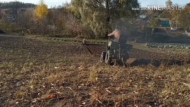 Вспашка огорода минитрактором и мотоблоком смотреть онлайн