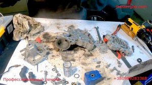 Замена ремкомплекта редуктора Tomasetto Alaska