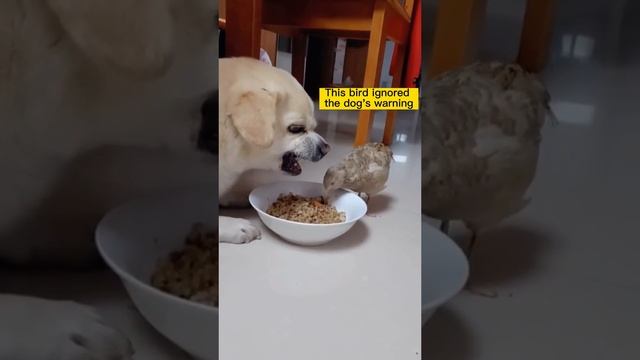Злюка смотреть онлайн