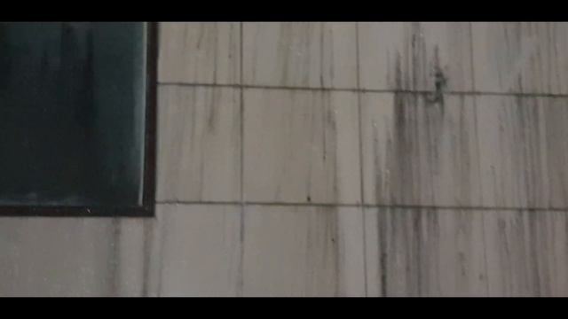 Последствия пожара на автомойке АвтоМуха г. Нефтекамск