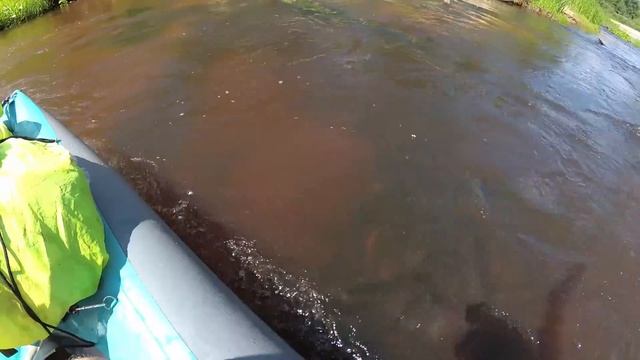 В ПОХОДЕ по реке Линда. От Рекшино до Гребного канала смотреть онлайн