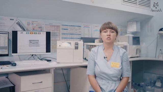 EasyStat | Екатерина Альмякова, ВК «Акелла» смотреть онлайн