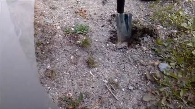 детский металокоп#нашли монеты#MD4030 в деле