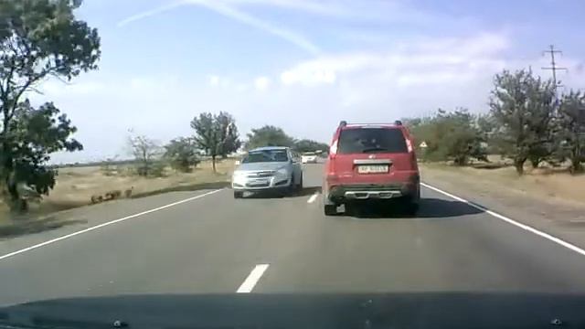 Купить арбуз на обочине смотреть онлайн