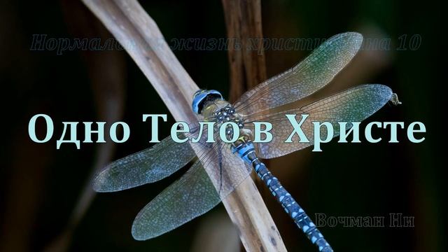 "Одно тело в Христе" Вочман Ни смотреть онлайн