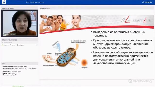 СС Cell капсулы FitLine смотреть онлайн