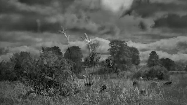 Алеша Рондо - Очарована, околдована... (2006 г.) смотреть онлайн