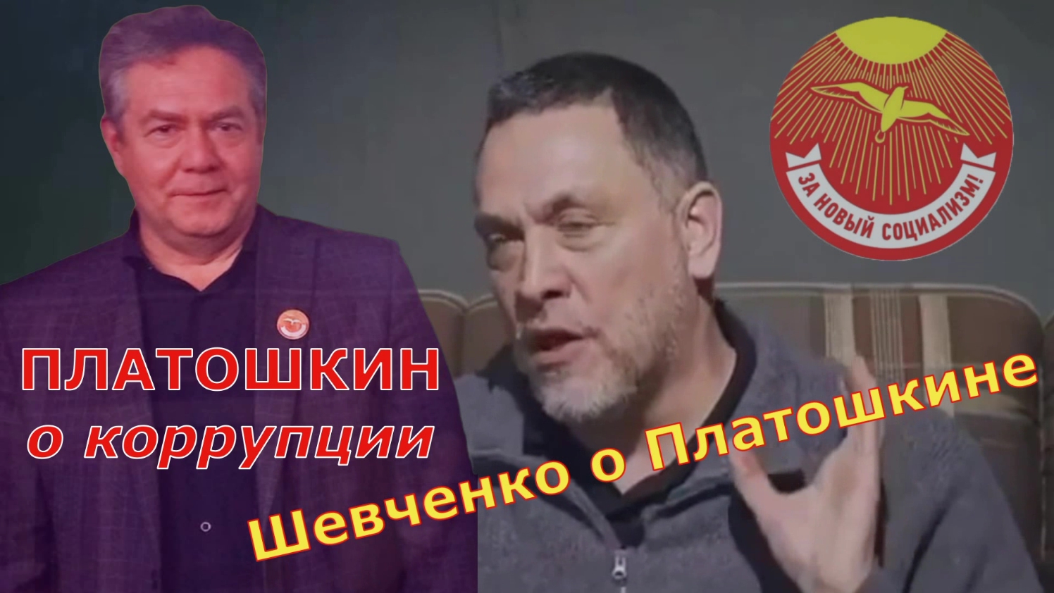 ПЛАТОШКИН о коррупции... ШЕВЧЕНКО о Николае Платошкине! ... фильм 19-й "Размышления вслух." смотреть онлайн
