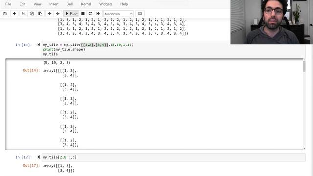numpy tile function | np.tile() with practical example смотреть онлайн